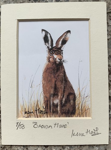 Small limited edition signed - limited, edition,