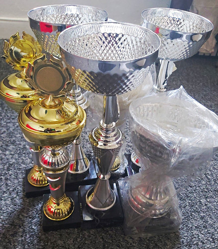 Job lot trophy cups awards - job, cups/awards