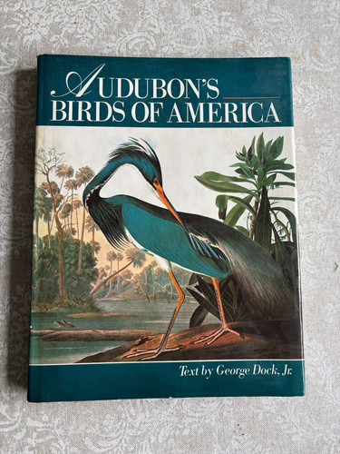 Audubon birds america - audubon's,
