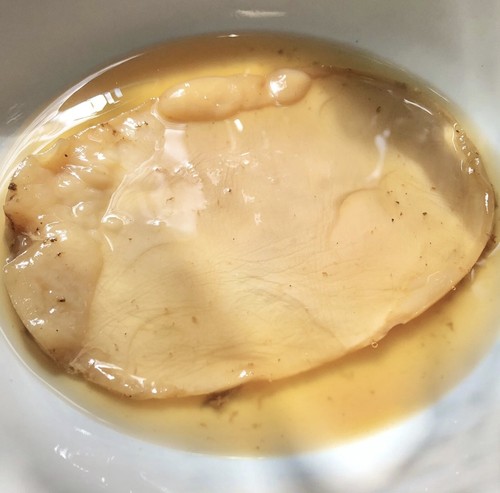 Size kombucha scoby and - scoby,