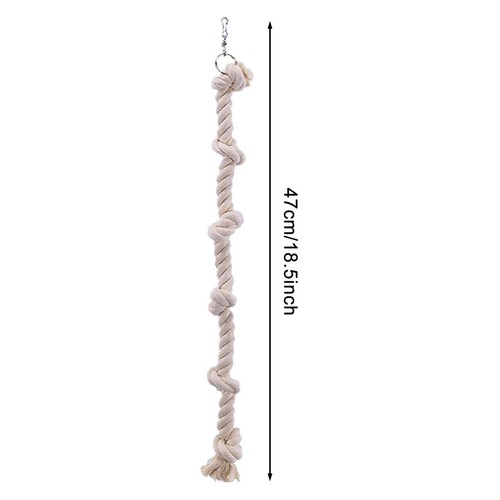 Parrot climbing cotton - climbing,