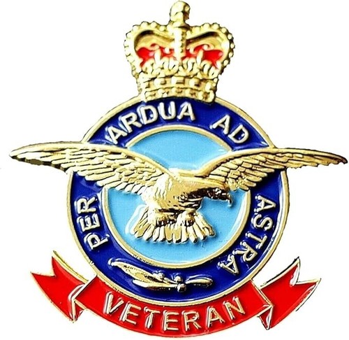 Raf veteran remembrance pin - raf,