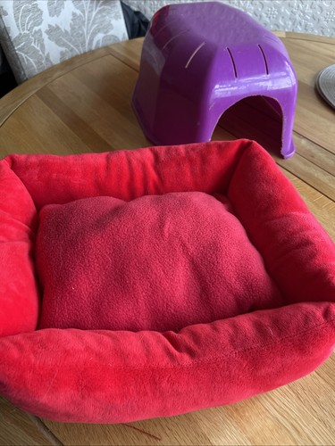 Guinea pig bed - guinea,