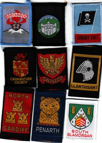 Boy scout badges - wales, x