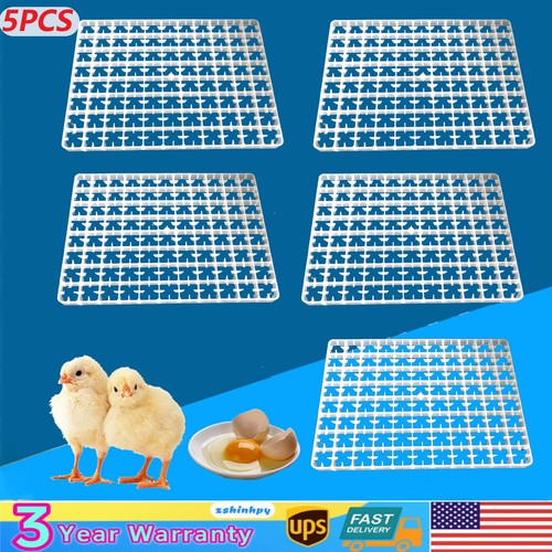 Egg hatching incubator - hatching, trays