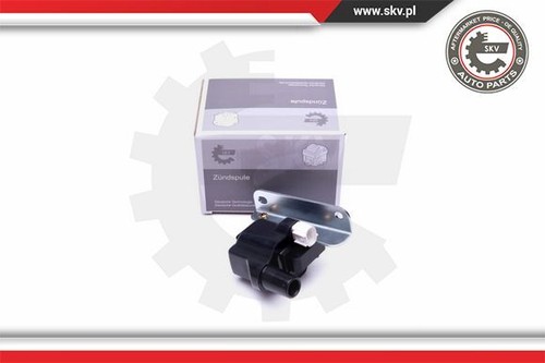 Ignition coil esen - esen, skv