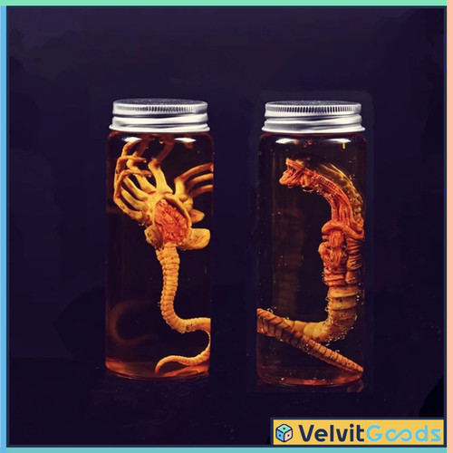 Alien jar xenomorph - alien,