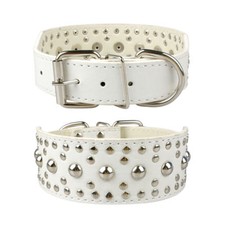 Dog Collar Studded 5 cm Wide