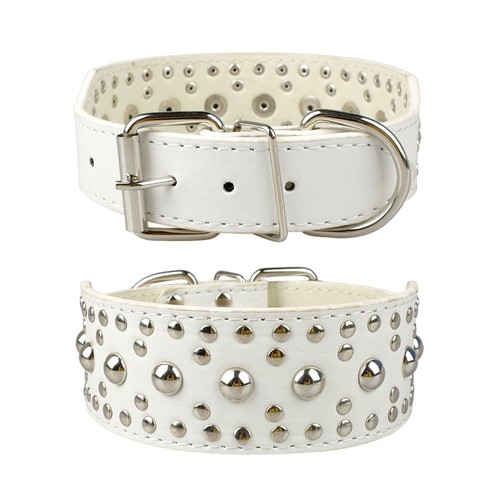 Dog collar studded wide - studded,