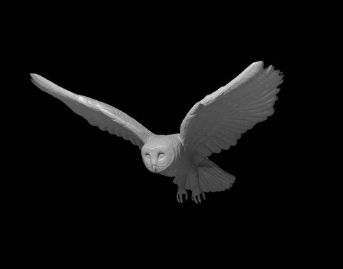 Giant owl for dungeons and - giant,