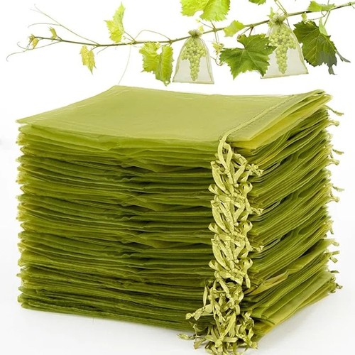 100x fruit protection bags - fruit,