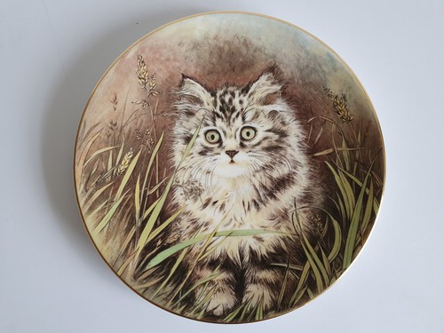 Royal worcester wild - worcester,