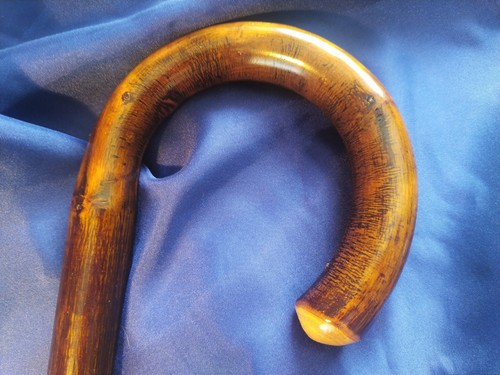 Chestnut flamed gentleman - chestnut,