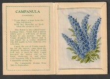 Kensitas tobacco silk flower Medium CAMPANULA  folder type A