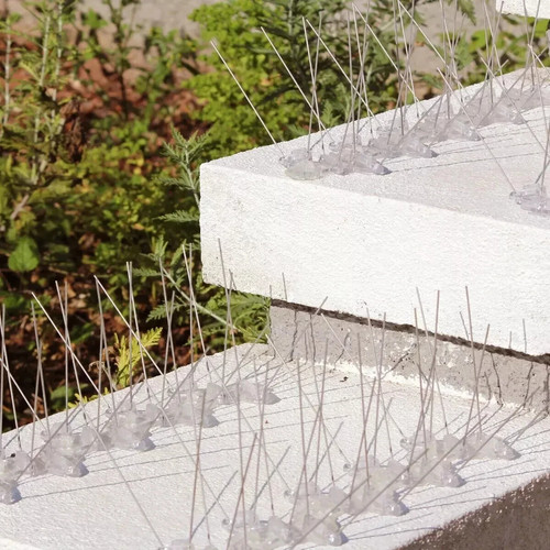 Bird spikes deterrent - bird,