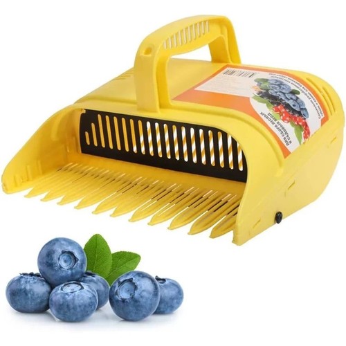 Blueberry berry picker - berry, rake
