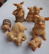 The Leonardo Pig Collection