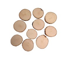 Natural Birch Wood Slice