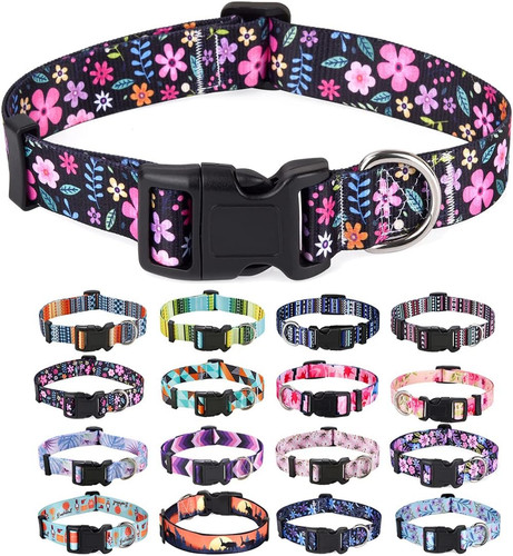 Dog collar for small - dog,