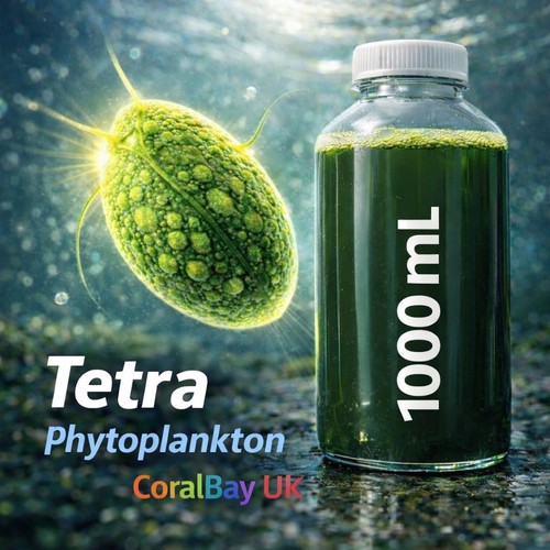Litre live phyto - -,