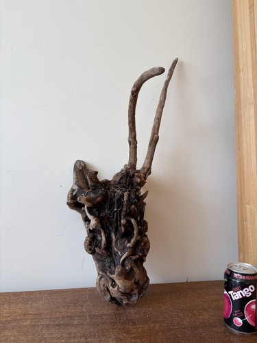 Driftwood piece root - driftwood,