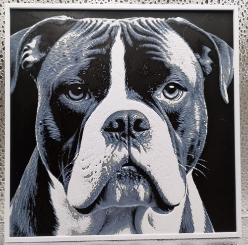 American bulldog hueforge - american,