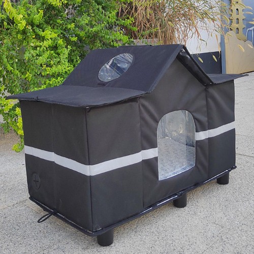 Outdoor cat house - cat, homeless