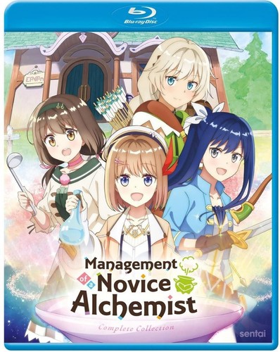 Management novice - of, a