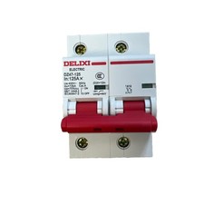 1PCS Delixi DZ47-125 DZ47125