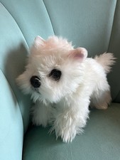 Keel Toys Soft Toy Signature