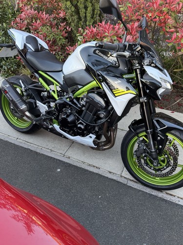 Kawasaki z900 performance 2022 - kawasaki,