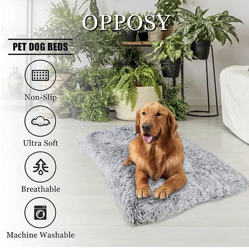 Dog bed brand - new, from