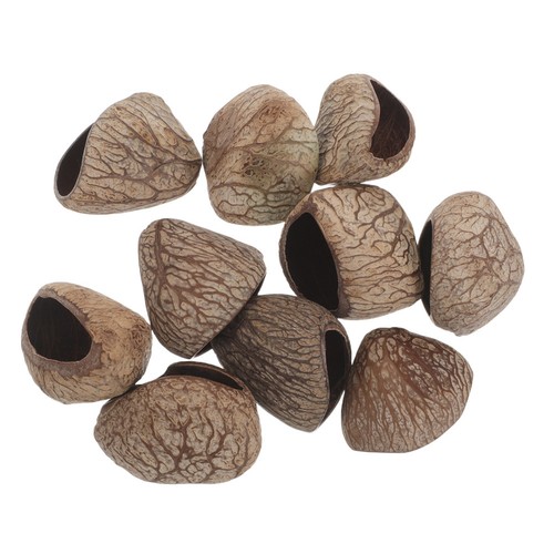 Pcs african wind - 10,
