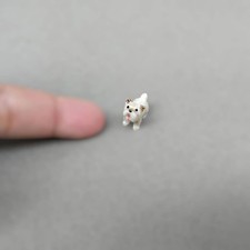 West Highland White Terrier