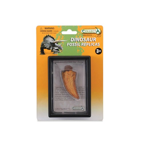 Collecta side tooth - side, of