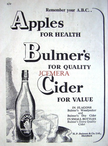 Bulmers woodpecker dry - woodpecker, &