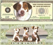 Jack Russel Terrier Dog Puppy