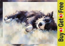 Sleeping Border Collie 5"x7"