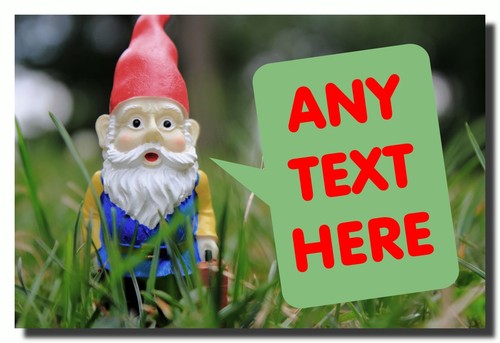 Gnome garden personalised - garden,