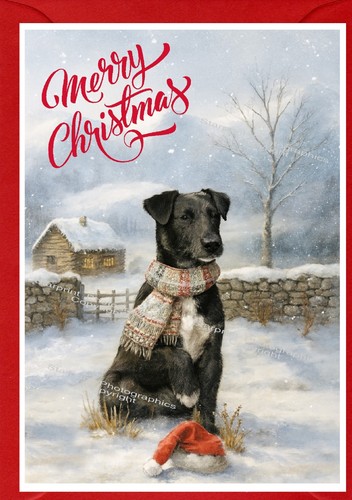 Patterdale terrier dog - terrier, (4"x