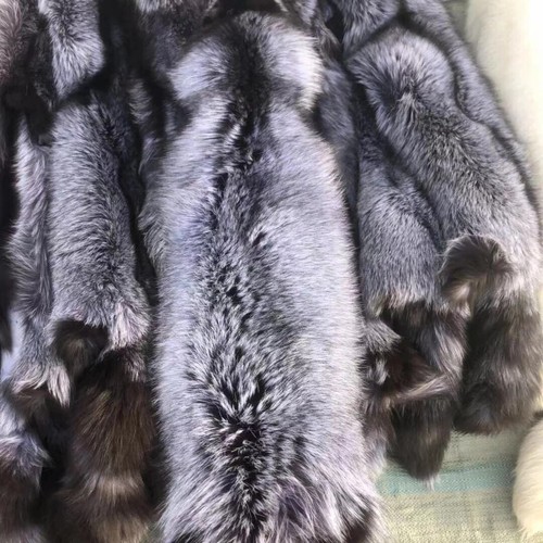 Tanned silver fox - silver, skin