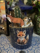 Cacti Houseplant Gift In A