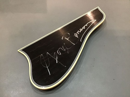 Gibson george benson signature - george,