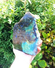 Large polished labradorite - large,