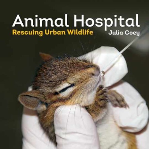 Animal hospital rescuing - animal,
