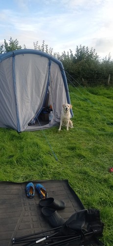 Tent eurohike 400 for - tent, sale.