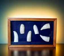 CLASSIC SAILORS CARVINGS Faux