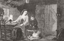 CHILDREN. Feeding the chicks