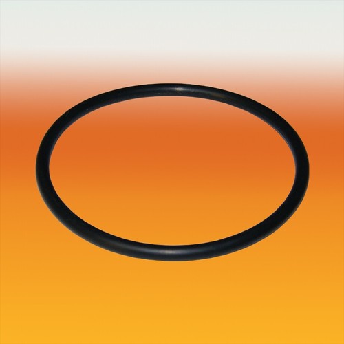 Ring seal for hambleton - ring,