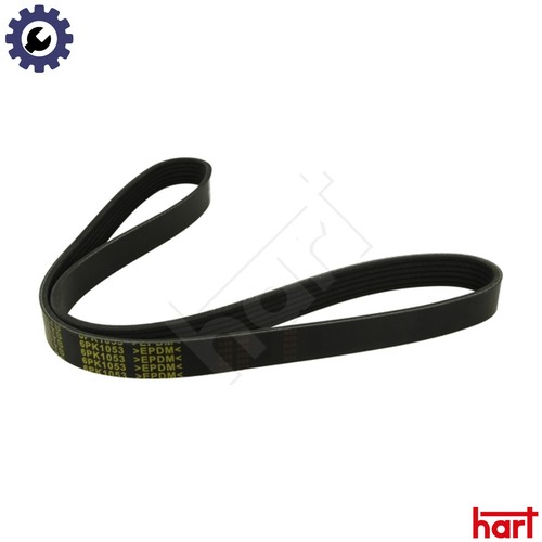 Vribbed belt 368 800 - vribbed, for